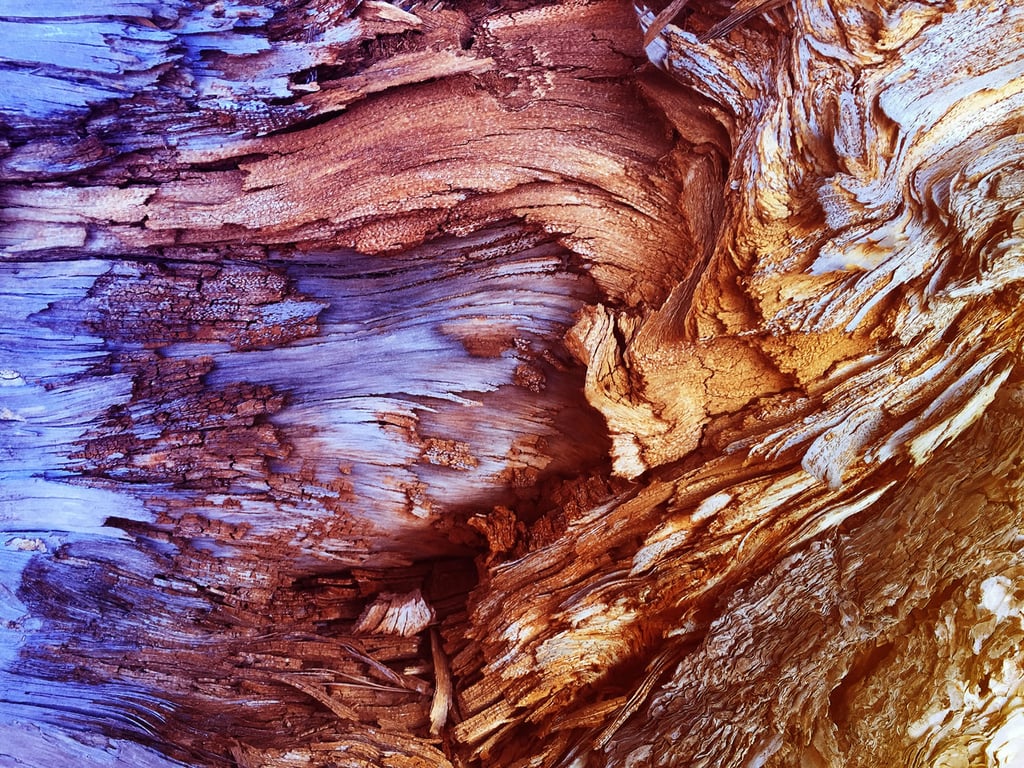 general-wood-texture-close-up2