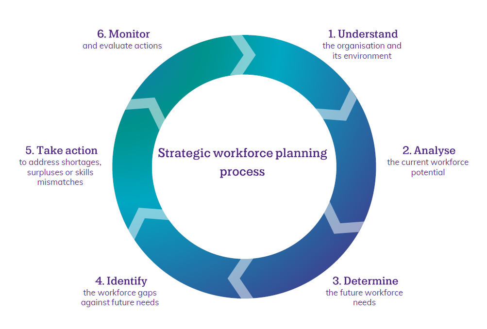 1. Understand the organisation, 2. Analyse the current workforce potential, 3. Determine future needs, 4. Identify gaps, 5. Take action, 6. Monitor and evaluate