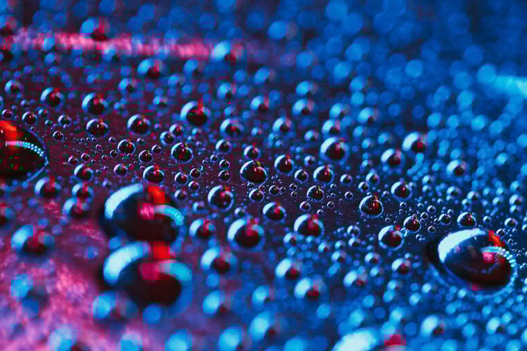 What is the Employee Value Proposition?